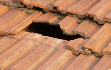 roof repair Lyde Green