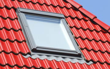 roof windows Lyde Green